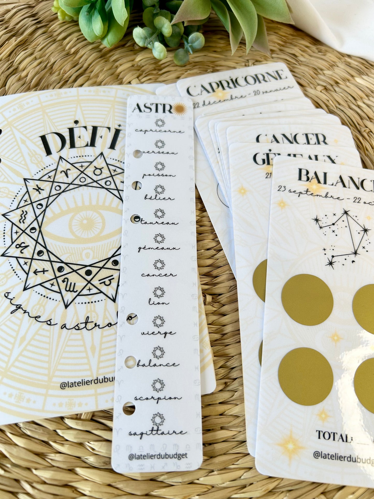 Défi signes astrologiques - A6