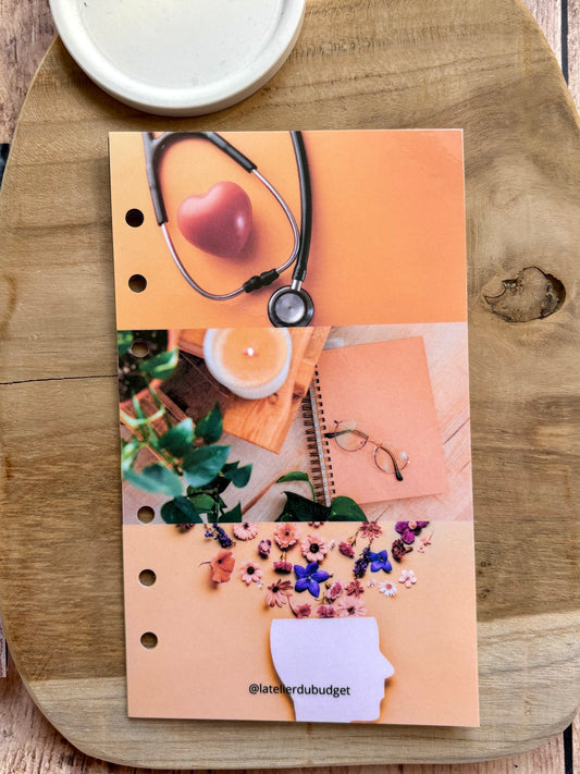 Page de garde - Santé orange A6