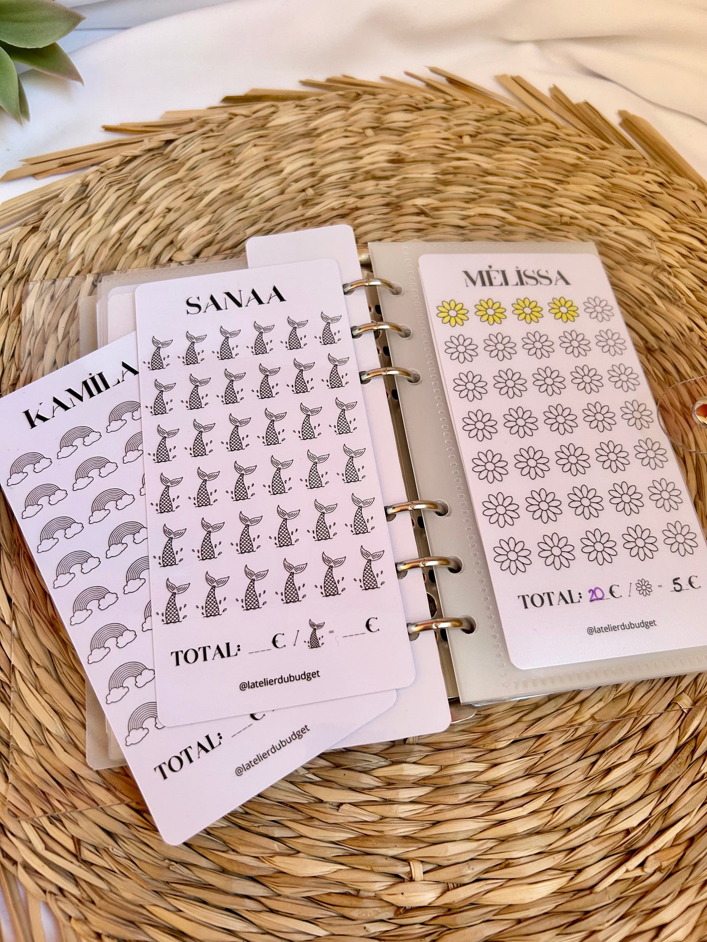 Épargnes personnelles