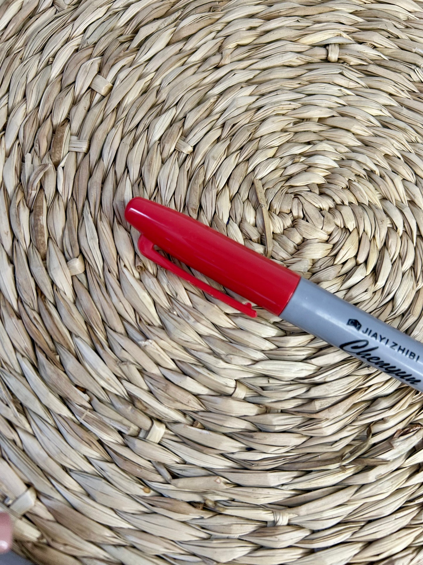 Marqueur permanent pastel - épais