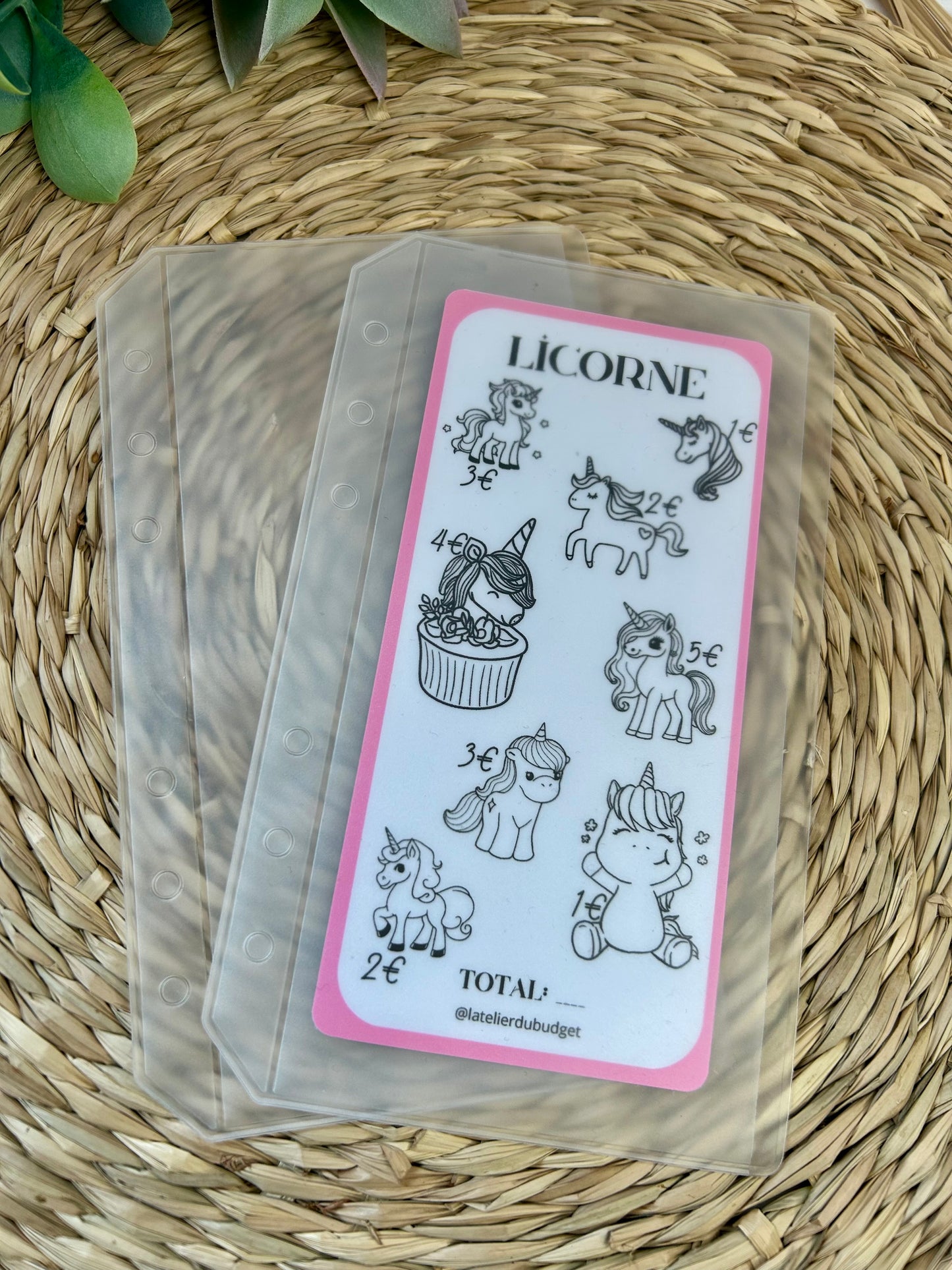 Enveloppes semi transparentes - lot de 2