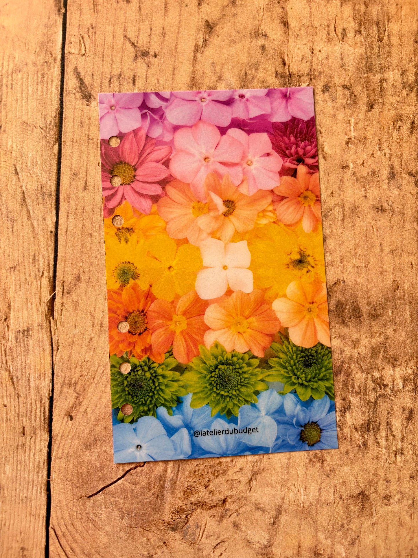 Page de garde - Fleurs de printemps