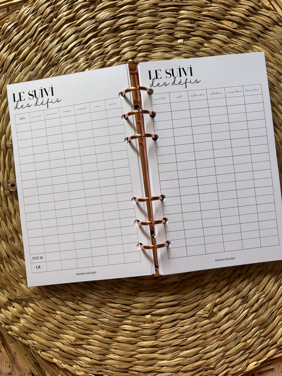 Budget planner 2026/2027 - A6