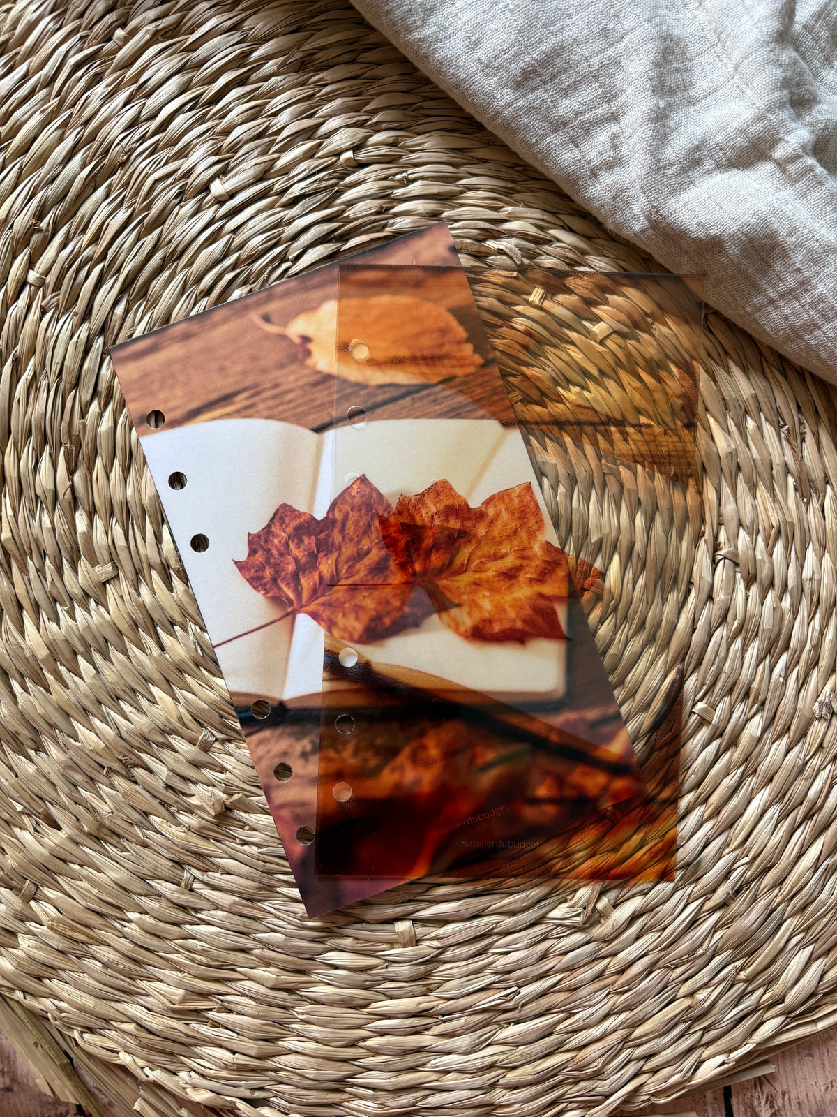 Page de garde - Livre feuille automne