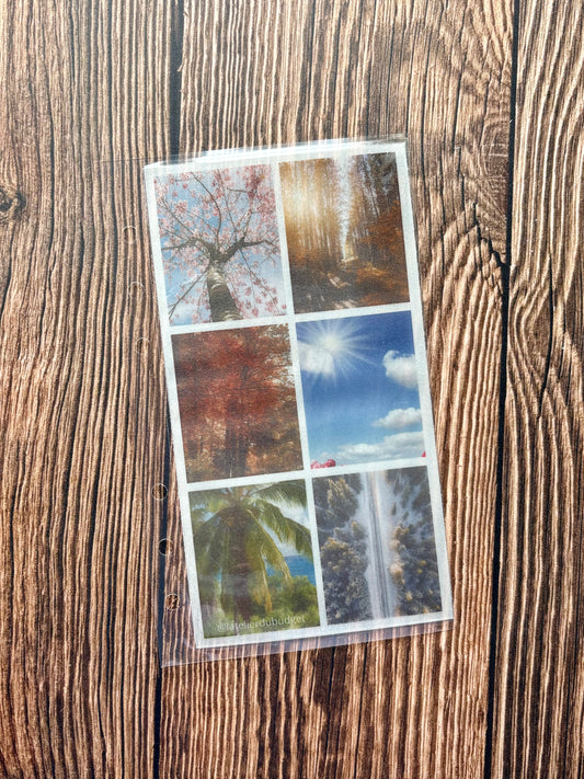 Enveloppe des saisons