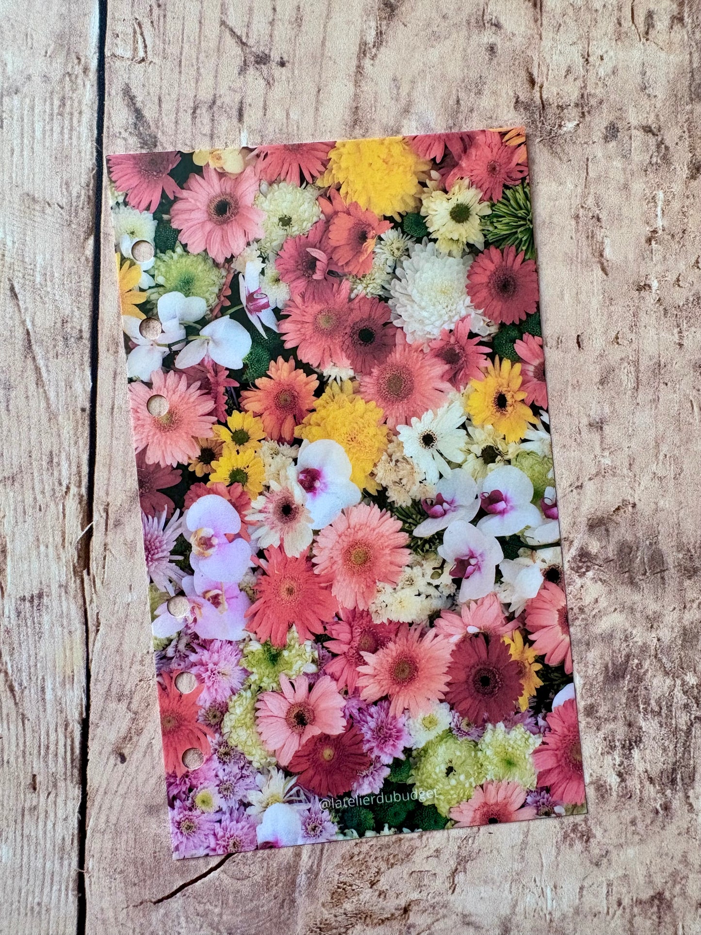 Page de garde - Fleurs de printemps