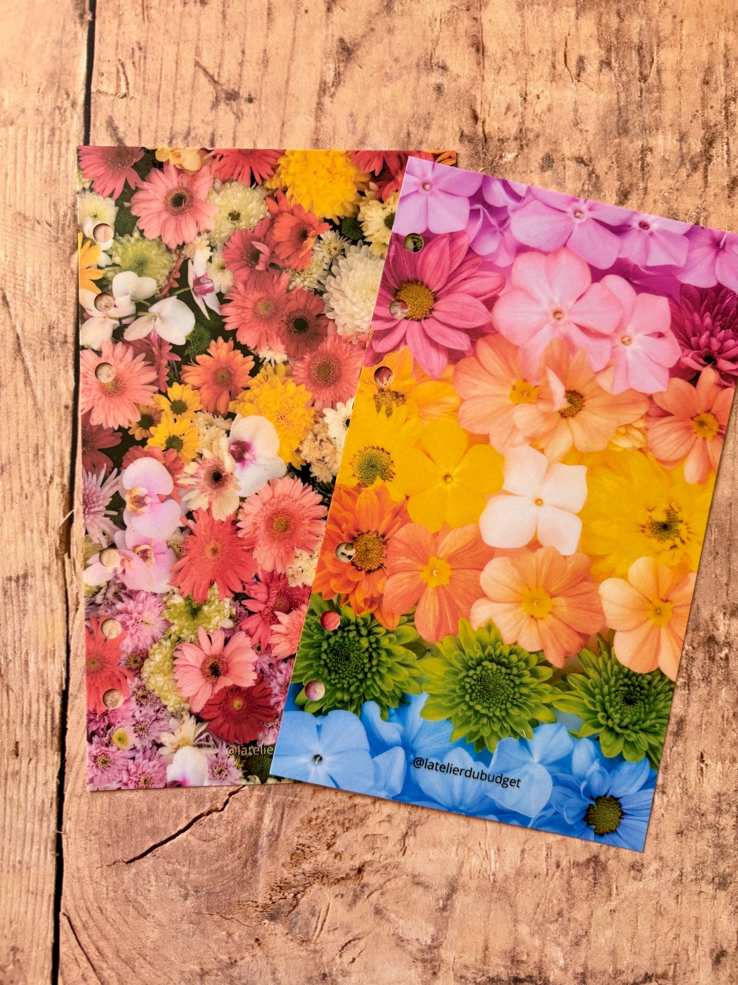 Page de garde - Fleurs de printemps
