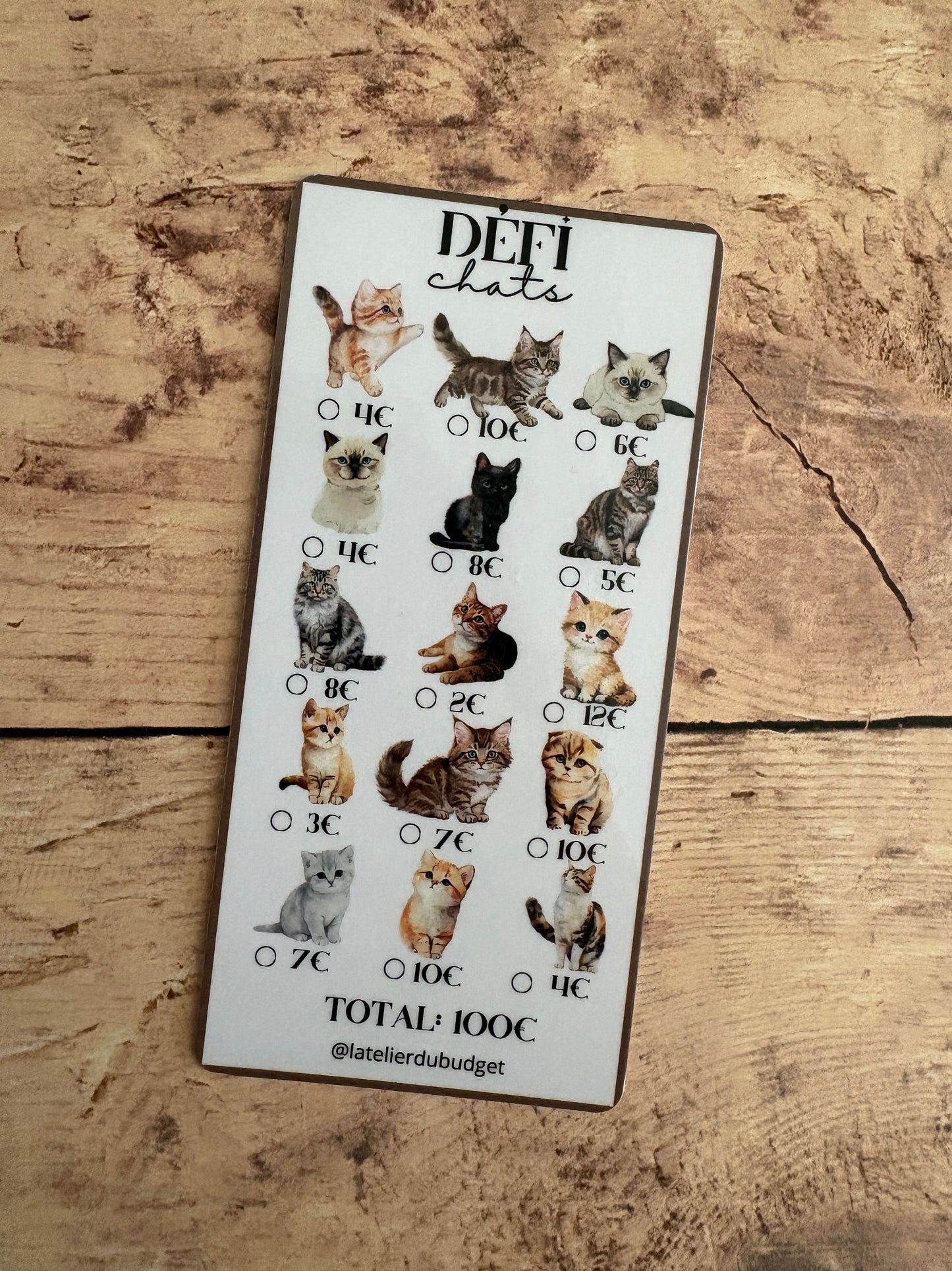 Défi Chats