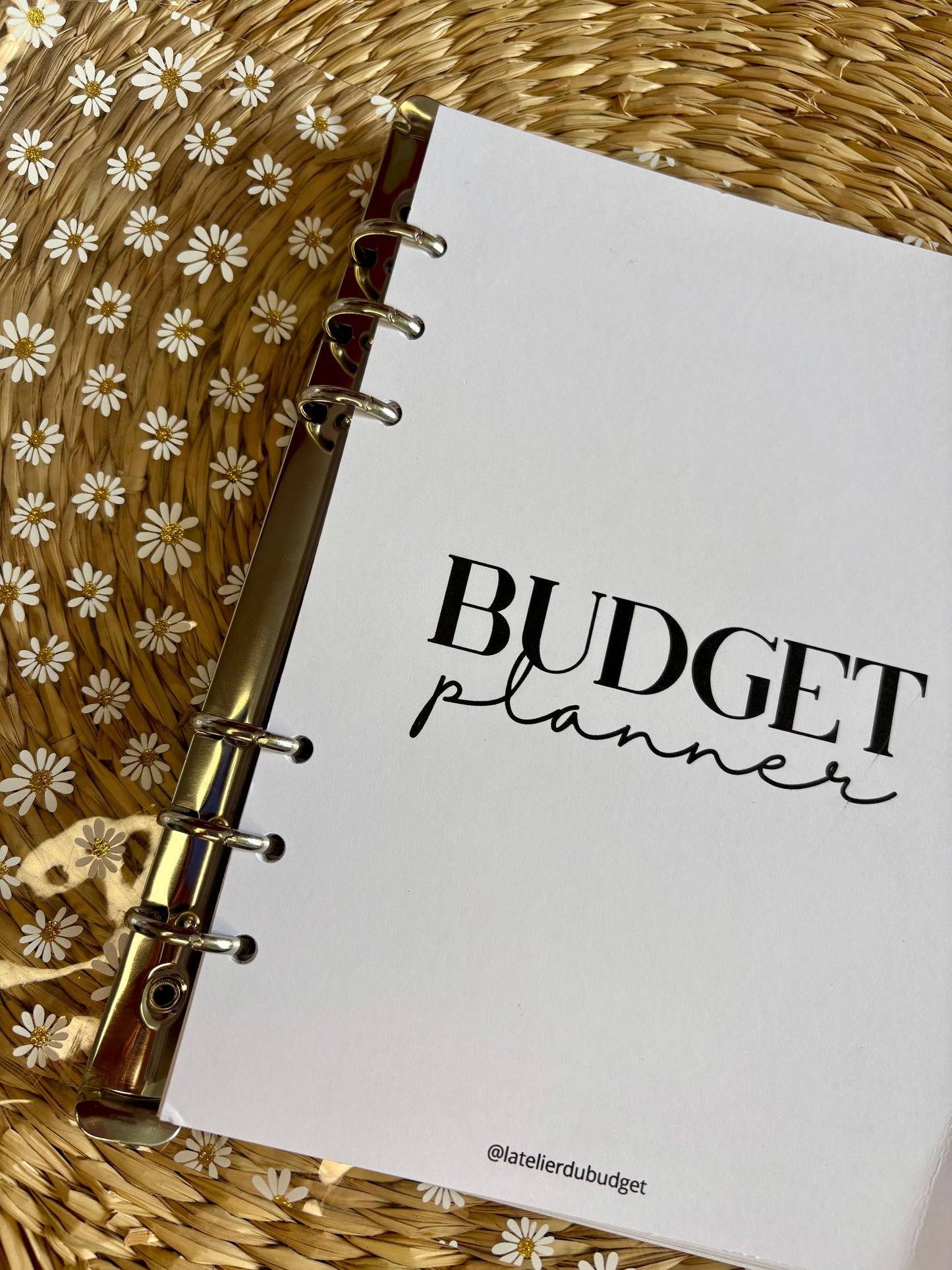 Budget planner