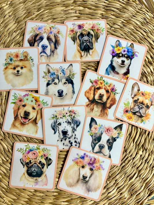 Défi - 12 cartes chiens